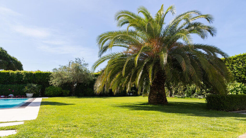 Villa con piscina in zona residenziale